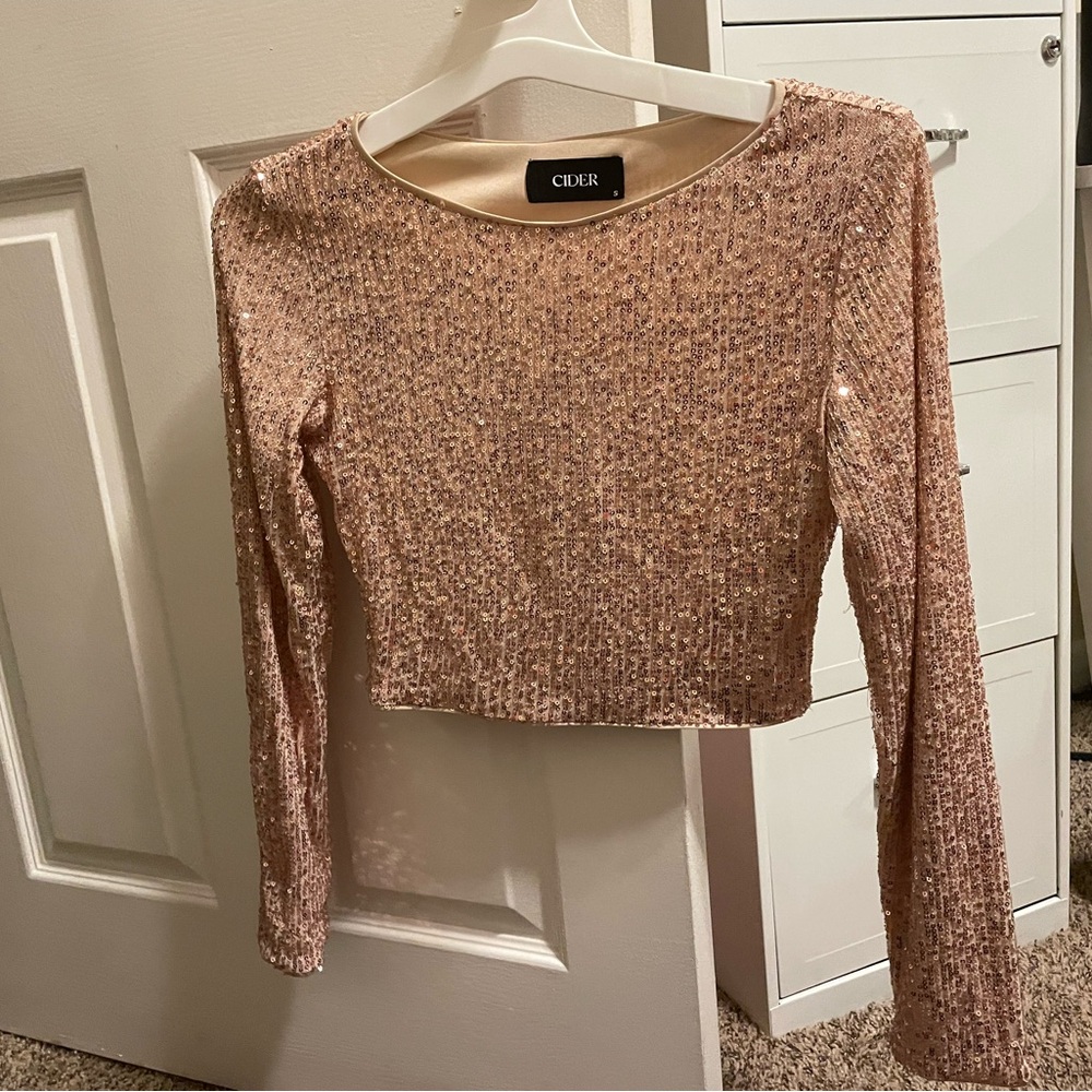 Cider Pink Sequin Crop Top